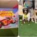 Perritos desfilan con sus mejores disfraces en premier de “Súper Canino”