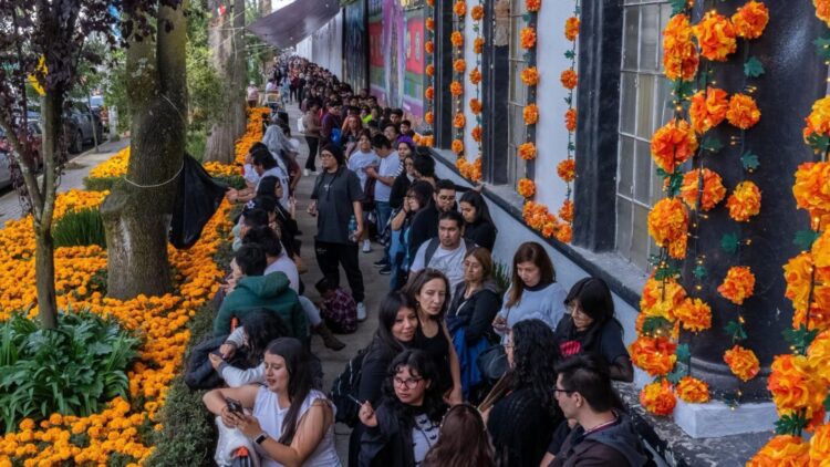 Flores de cempasúchil para las ofrendas de Día de Muertos