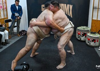 Sumo