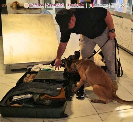 El gabinete de seguridad federal informó que en el AICM lograron la detención de personas involucradas en el intento de traslado ilícito de sustancias controladas. AMEXI/FOTO/Gabinete de Seguridad