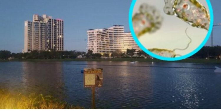 Por ameba “come cerebros”, baja la afluencia a parques con lagos artificiales en Mérida