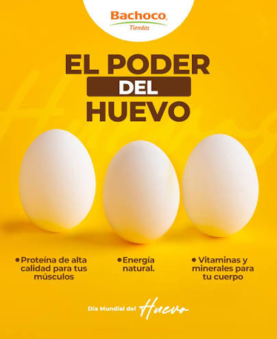 El huevo destaca por su gran valor nutricional y su versatilidad en la cocina
