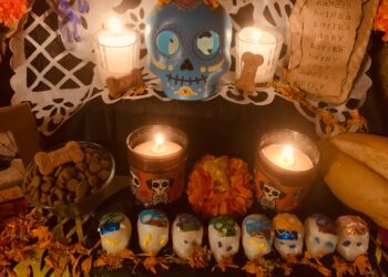 Ofrenda de Día de Muertos dedicada a perros fallecidos, con fotografías, flores de cempasúchil, veladoras y alimentos.