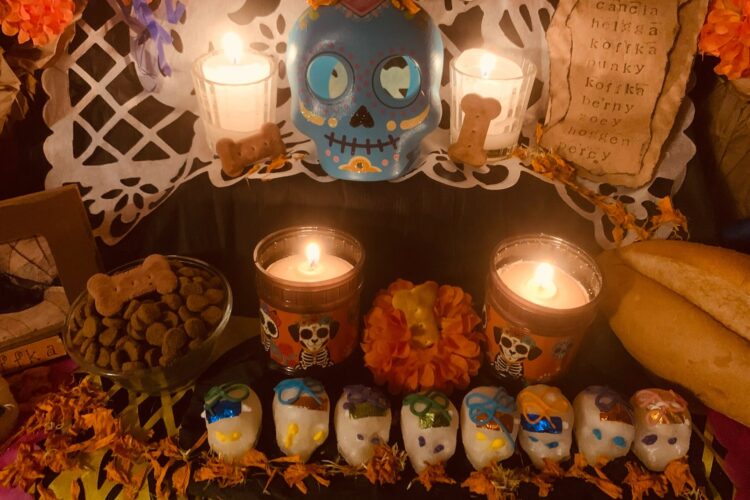 Ofrenda de Día de Muertos dedicada a perros fallecidos, con fotografías, flores de cempasúchil, veladoras y alimentos.